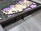 *NEW* LED Haunted Places in Florida Travel Map with Story Tag